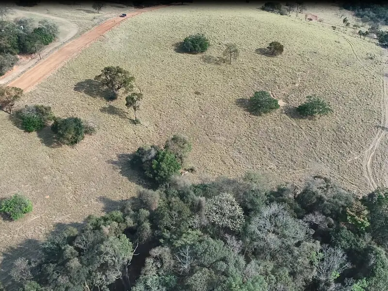 Área de pasto com árvores isoladas em uma das chácaras