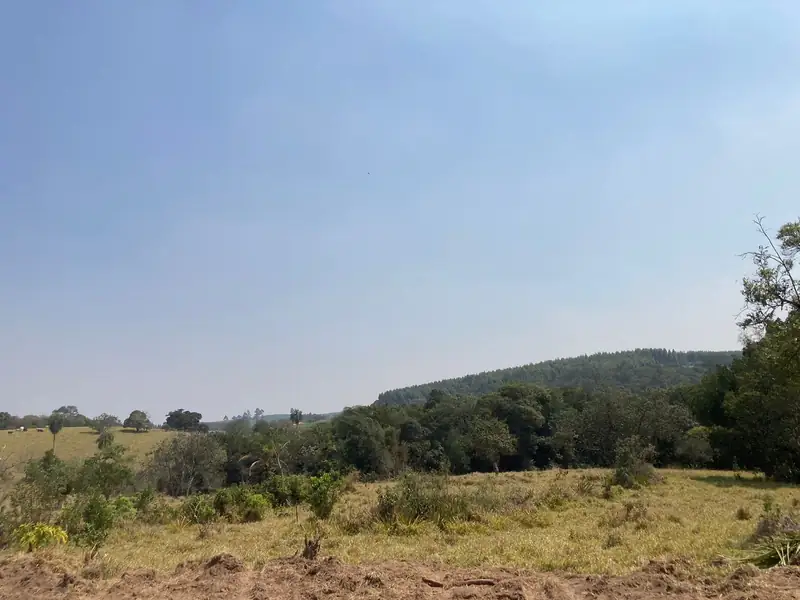 Pasto e mata na divisa de uma chácara do Faxinal