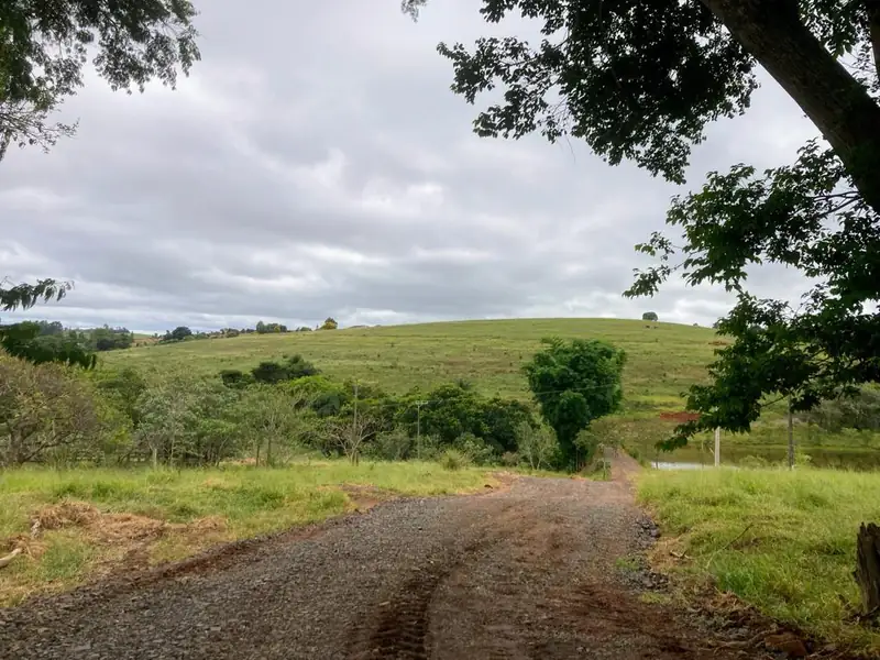 Estrada cascalhada entre árvores na Lagoa Dourada