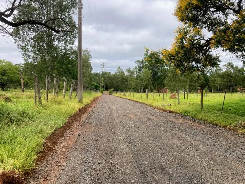 Estrada rural com cerca e árvores na região do Green Valley