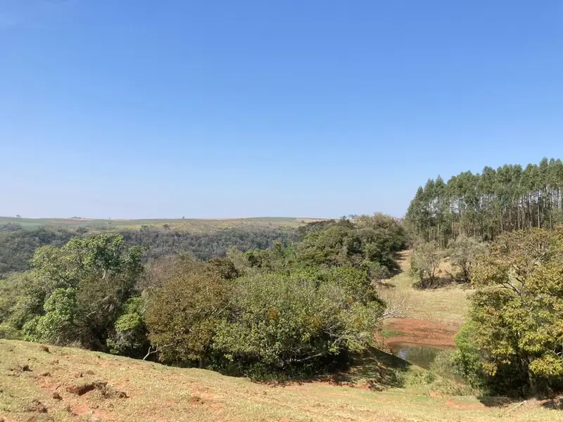 Mata e lago em área baixa da Fazenda Jaciobá