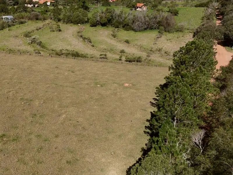 Cinturão verde preservado ao lado dos terrenos na Demétria, Botucatu